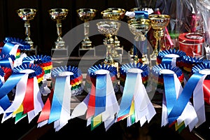 Closeup of colorful ribbons awards rosettes and trophys for winners In equitation competition