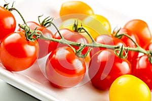 Closeup of colorful tomato on the vine