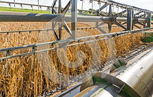 Closeup of a combine harvester