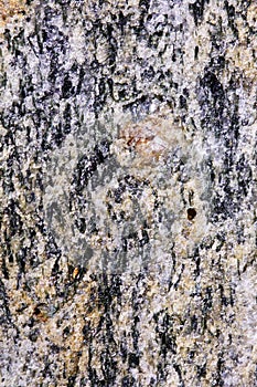 Closeup of Conglomeration with Feldspar in Ochre