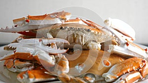 Closeup of cooked steamed whole shellfish blue swimming crab on plate with steam
