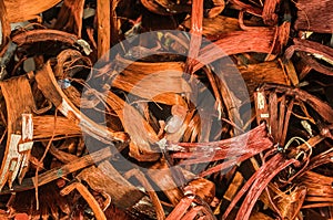 Closeup of copper wire, concept of industry development and market of raw materials