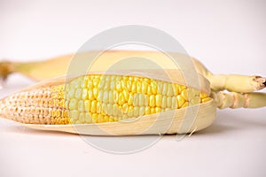 Closeup of corn cob isolated on a white background