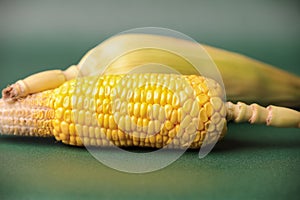 Closeup of corn cob isolated on a white background