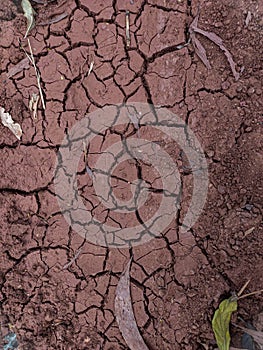 Closeup of a cracked and dirtied ground in a rural field setting