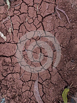 Closeup of a cracked and dirtied ground in a rural field setting photo