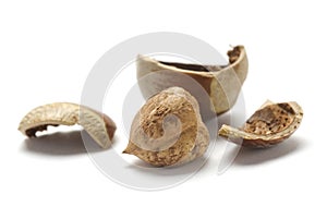 Closeup of cracked hazelnut