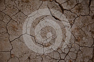 Closeup of cracks on muddy ground in geothermal Krafla area in Iceland in summer. Power, geothermal, nature and outdoor concept