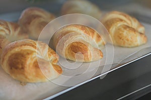 Closeup croissant homemade bakery in the oven with warm light, s
