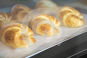 Closeup croissant homemade bakery in the oven with warm light, s