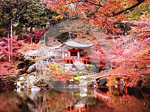 Daigo-ji temple with colorful maple trees in autumn, Kyoto, Japan