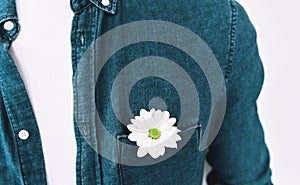 Closeup cropped image of handsome man in blue shirt with a flower in pocket, posing over white wall.