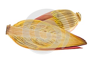 Closeup cross section of fresh raw banana blossom with maroon pu