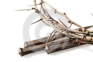 Closeup of a Crown of Thorns and Nails