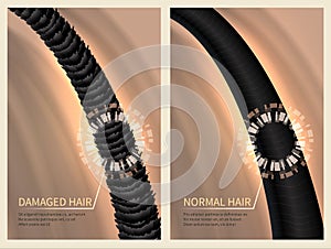 Closeup damaged harsh and normal healthy hair. Vector illustration for haircare concept
