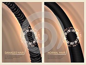 Closeup damaged harsh and normal healthy hair. Vector illustration for haircare concept photo