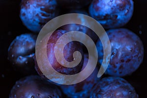 Closeup dark purple plum background.