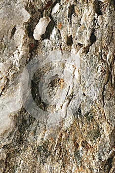 Closeup of a deeply fissured stone photo