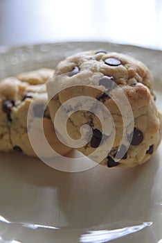 Closeup of delicious American chocolate chip cookies on a white plate