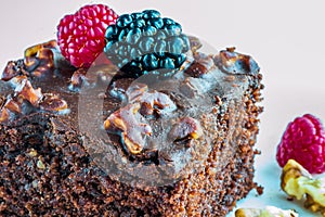 Closeup of a delicious brownie with silvestre fruits photo