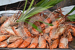 Closeup of delicious king prawns on a local street food market chatuchak market in Thailand, Asia