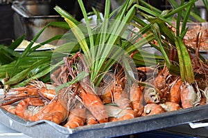 Closeup of delicious king prawns on a local street food market chatuchak market in Thailand, Asia