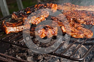 Closeup of delicious pork ribs on barbeque grill