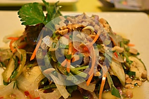 Closeup of delicious vietamese sour spicy beef salad with banana blossom and carambola