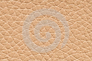 Closeup detail of beige cream leather texture background
