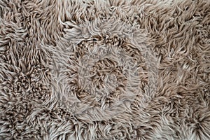 Closeup detail of gray shag rug