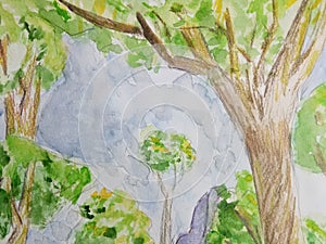 Closeup Detail of Tree and Clouds in Watercolor and Colored Pencil Painting of Forest