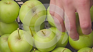 Closeup details crate with green apple in the garden. harvest in orchard in summer season. fruit-grower hands wearing in