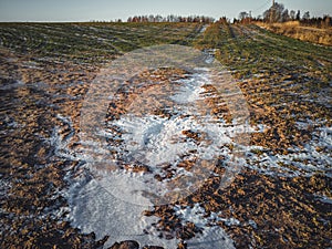 Closeup Details of Landscape in Sunny Winter Day with Snow Partly Covering the Ground, Abstract Background