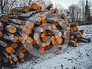 Closeup Details of Pile of Logs in Sunny Winter Day with Snow Partly Covering the Ground, Abstract Background