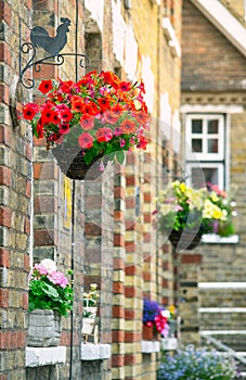 Closeup detial of English houses with hanging baskets