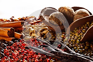 Different kinds of oriental spices photo