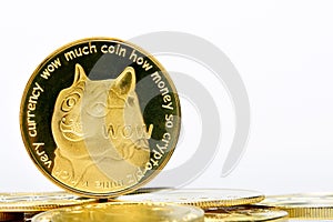 Closeup of a digital dog coin on a bunch of golden coins isolated on a white background