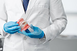 Closeup doctor male hands in gloves holding jaw layout model with metal braces.