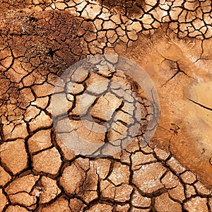 Closeup of dried and cracked earth Dry soil texture