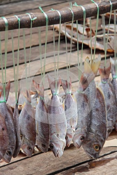 Closeup of dried fish in market.