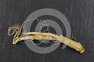 Closeup of dried Radix Ginseng root Shin seng on black stone b photo