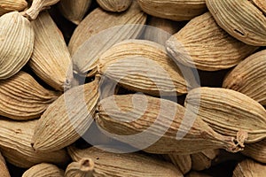 closeup of dried spice - cardamon seeds