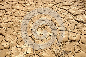 Closeup of drought land with multiple cracks