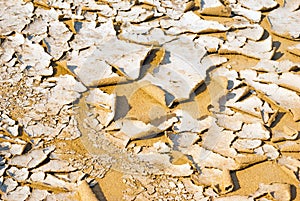Closeup of dry cracked earth background