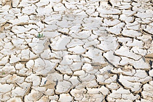 Closeup of dry cracked earth background, clay desert texture