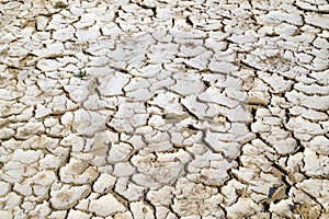Closeup of dry cracked earth background, clay desert texture