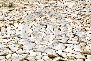 Closeup of dry cracked earth background, clay desert texture