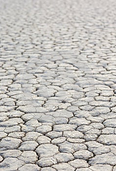 Closeup Of Dry and Cracked Mud Soil in Racetrack Playa in Death