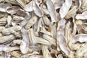 Closeup on dry cracked open peanut pod background.