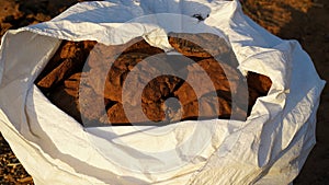 Cow cakes closeup. Beautiful round Cow chips holding in sunlight to dry. Handmade cow chips for domestic fuel use